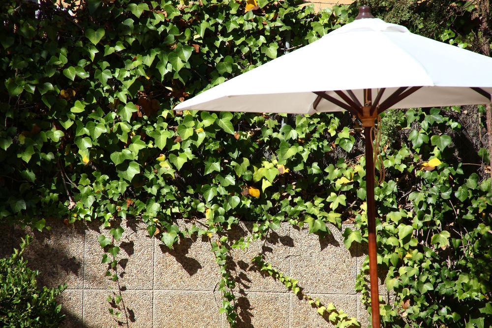 Apartamentos Jade - Adults Only El Arenal  Zewnętrze zdjęcie
